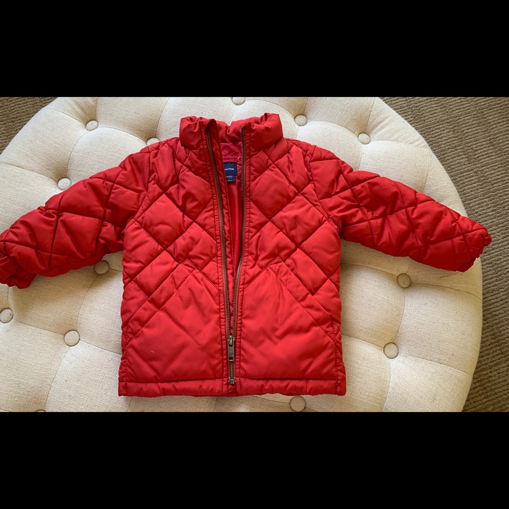 Toddler Baby Gap Jacket